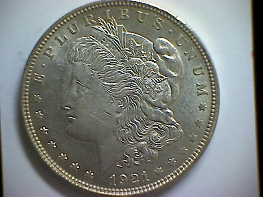 Grade-My-Morgans